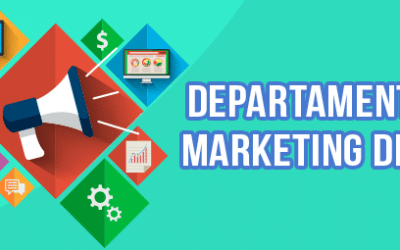 Descubre cómo organizar el departamento de marketing digital de tu empresa