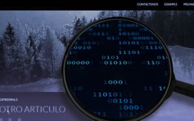 Conoce las diferencias entre el diseño web y desarrollo web