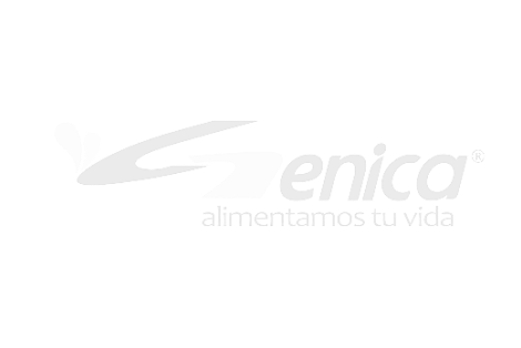 HOME REY 6 logo clientes genica bgcreativos - Bgcreativos